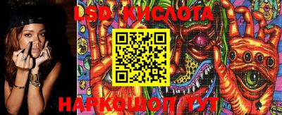 прущие грибы Дмитров