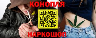 прущие грибы Дмитров
