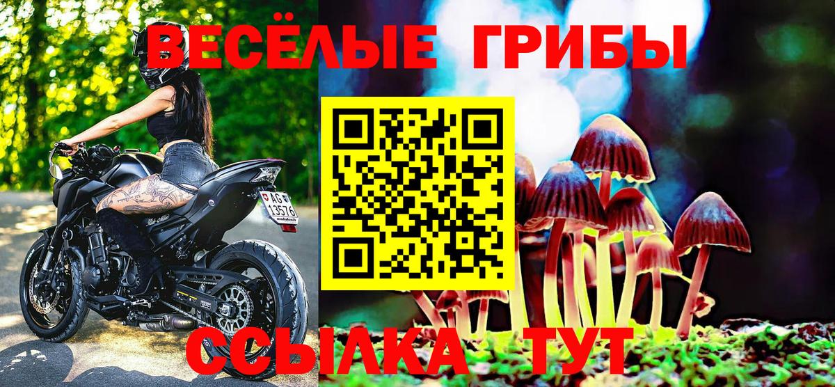 Нововоронеж  Галлюциногенные грибы MAGIC MUSHROOMS  Вход с VPN 